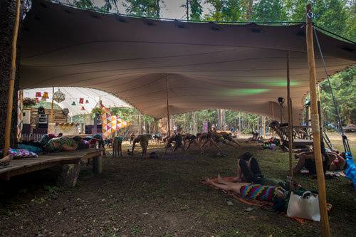 Festival - yoga space