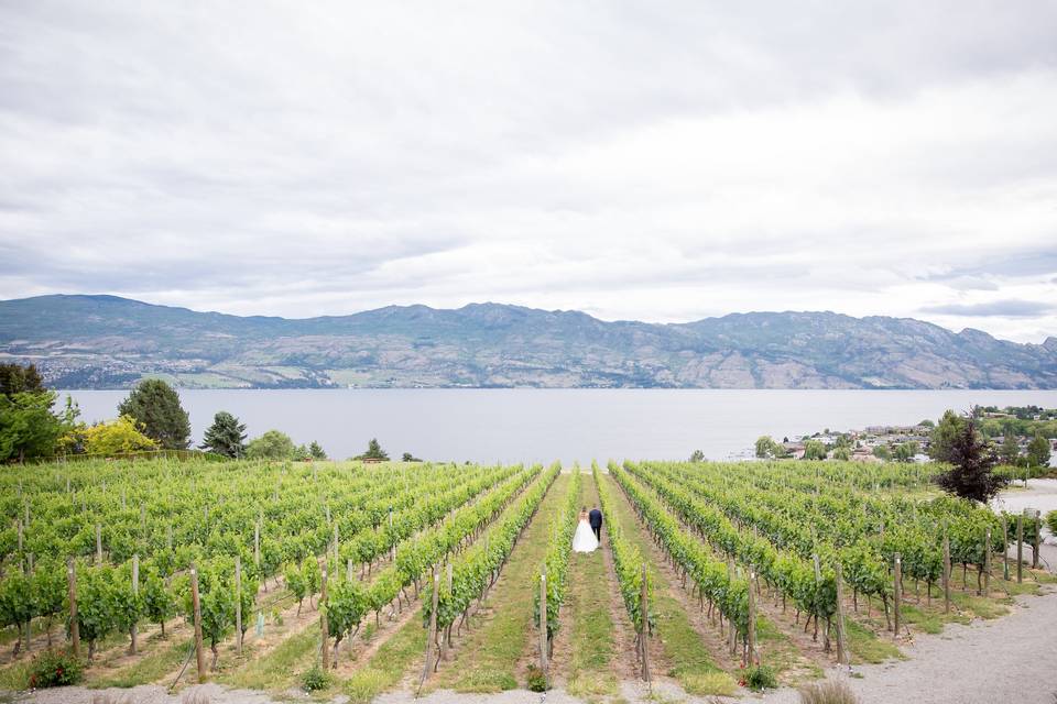 Quails Gate Winery Wedding