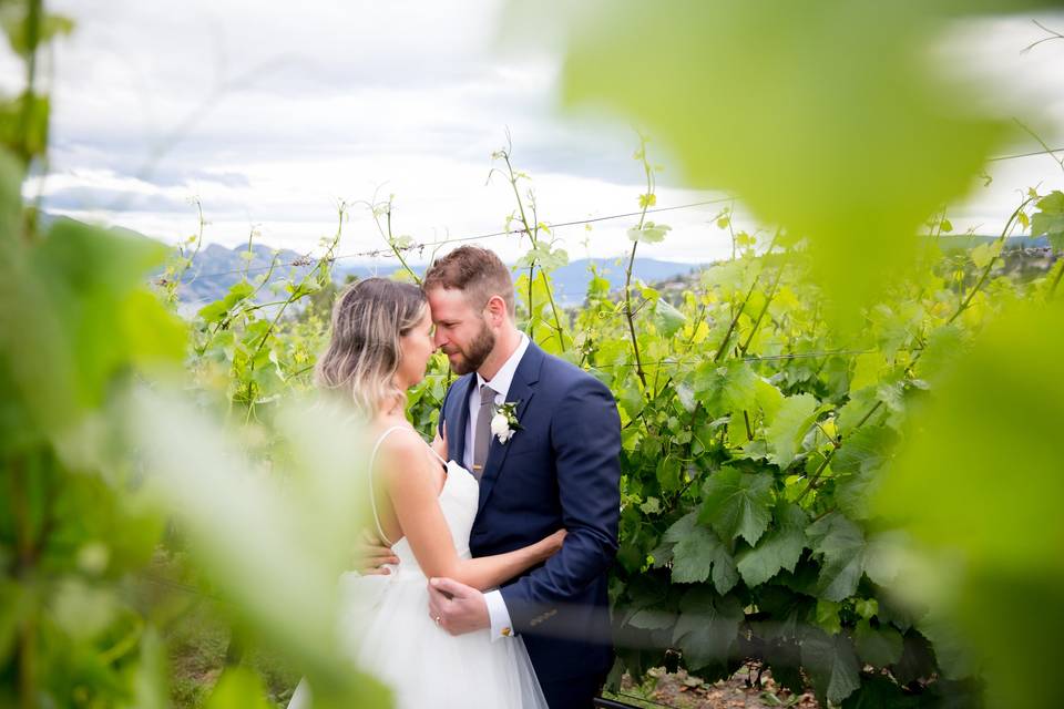 Quails Gate Winery Wedding