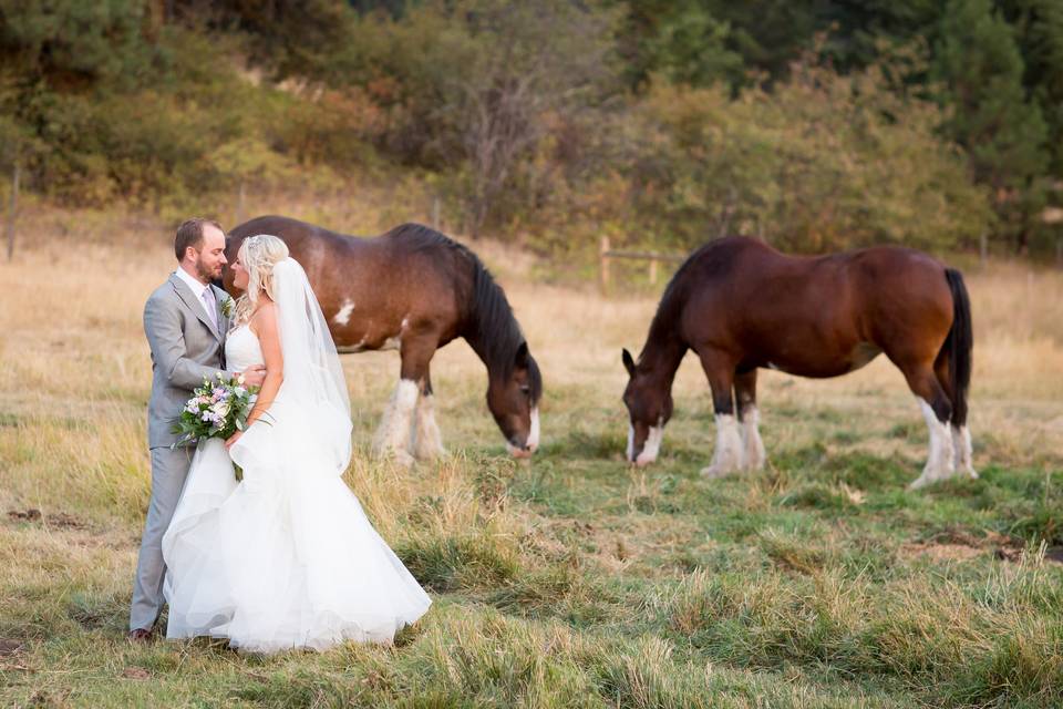 Country Wedding