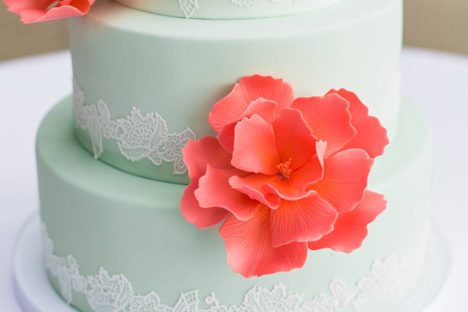 Ombre lace cake
