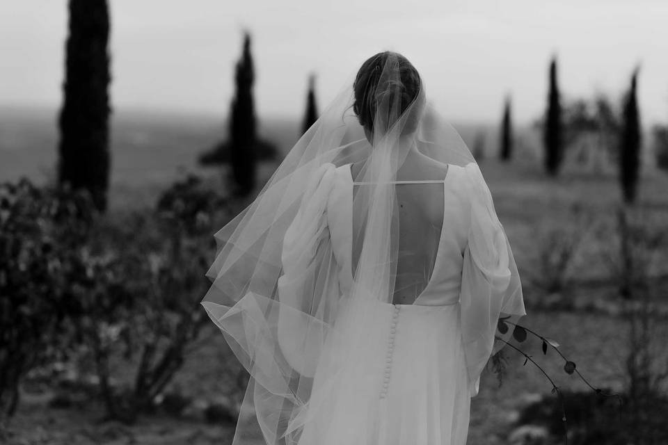 Bemiro Photography
