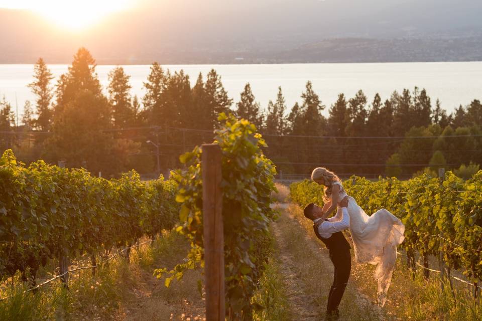 Vineyard wedding photo