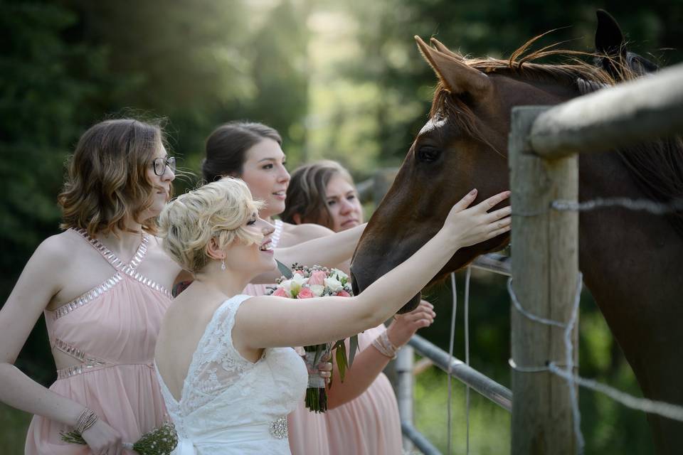 Marlee with horses