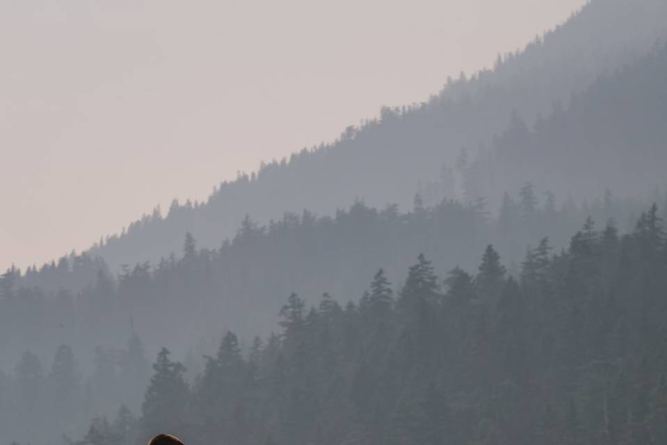 Whistler Summer Wedding