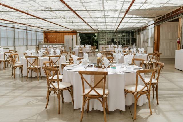 Reception Hall - Greenhouse