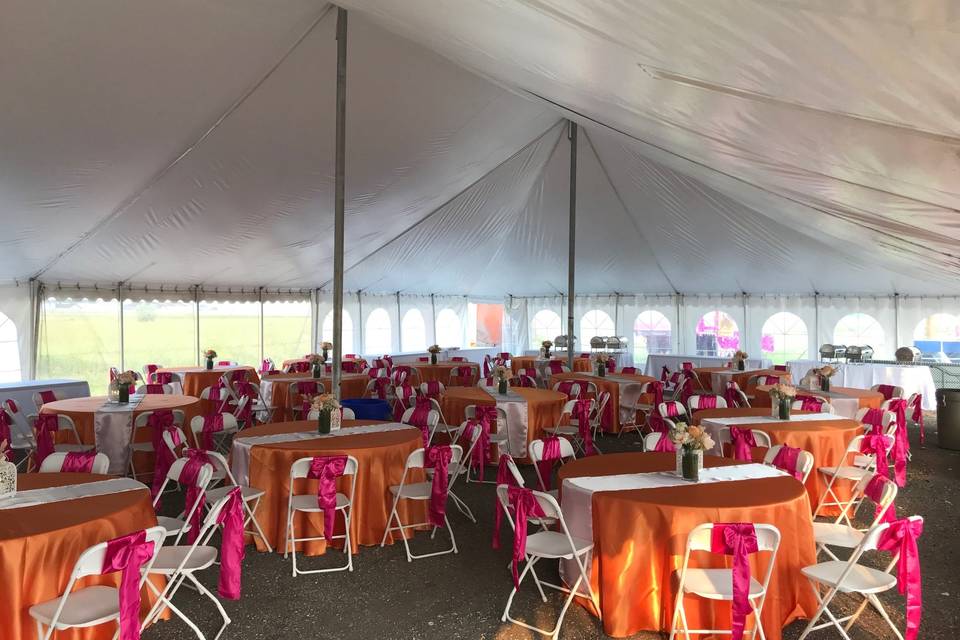 Tablecloths & Chairs