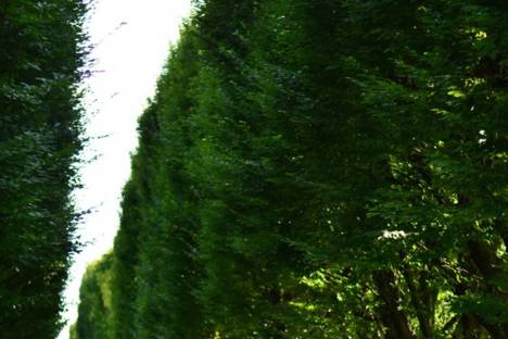 Fort Erie, Ontario wedding photographer