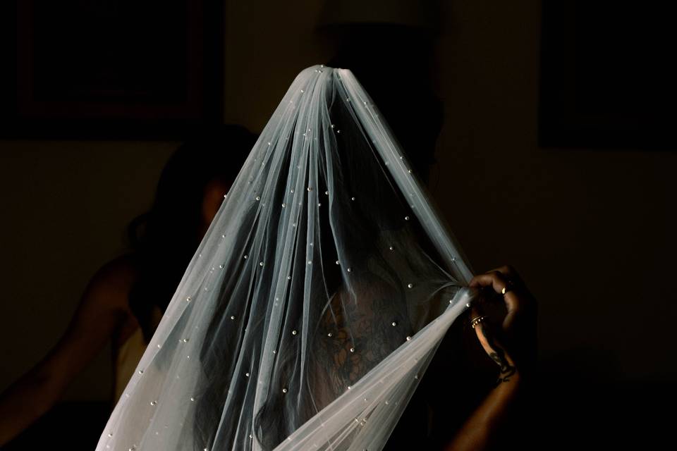 Veil details