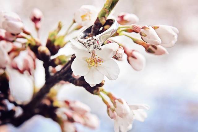 Ring on a flower branch