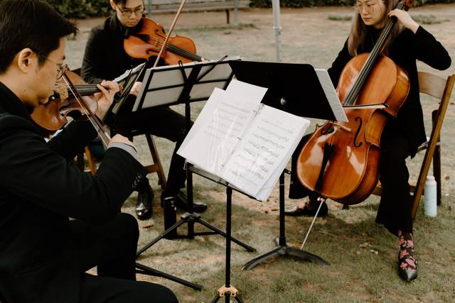 Performance at Wedding