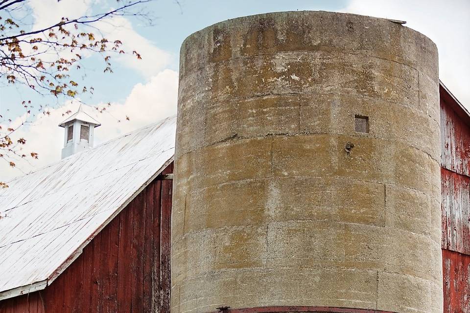 Spring barn engagement