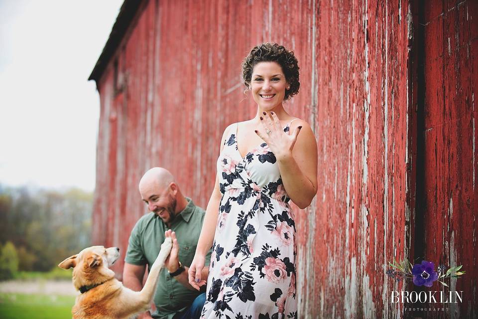 Barn engagement