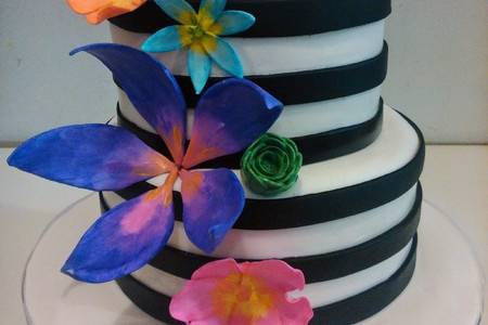 Dolcezza Custom Cakes