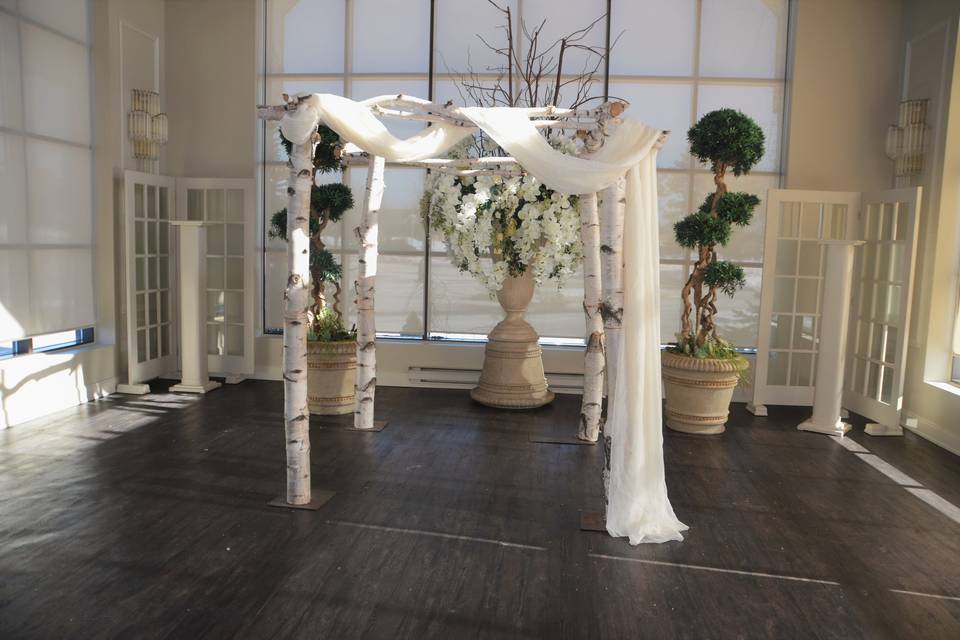 Birch arch and draping