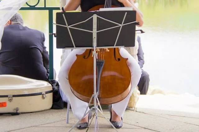 Charming Cellist