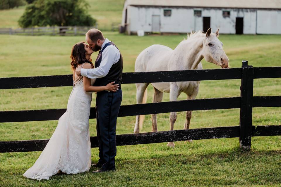 Kiss and standing by the horse