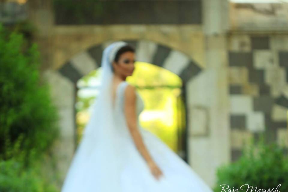 Ducks in wedding photo