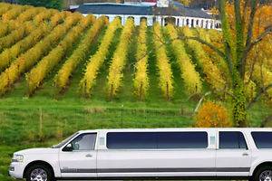 White Expedition SUV Limo