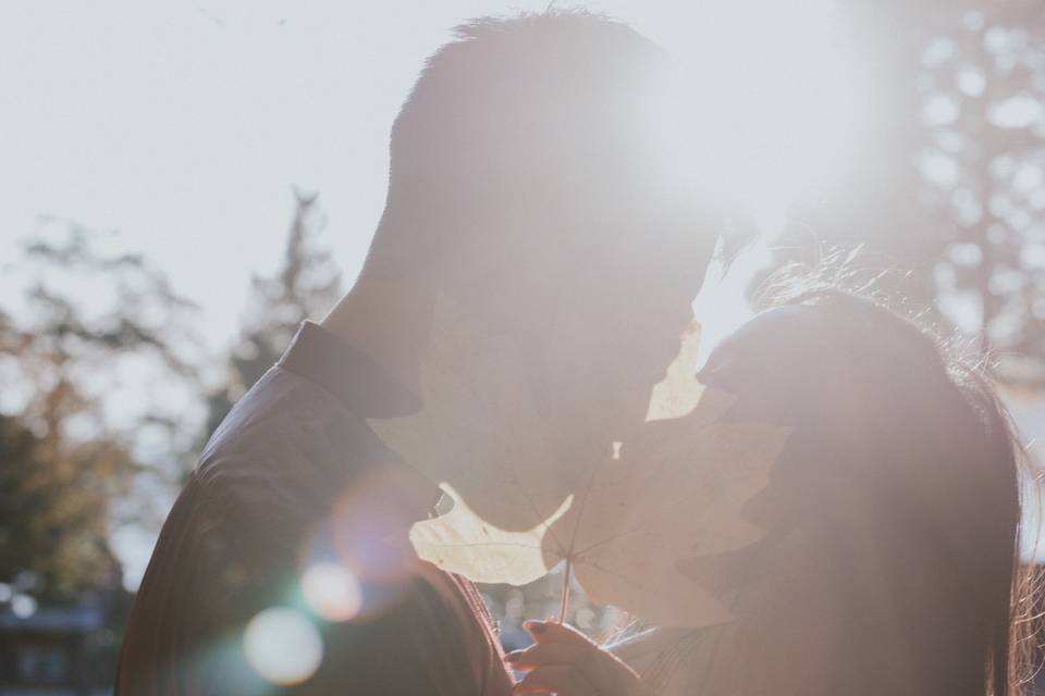 Sunkissed moment