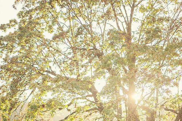 Heriot Bay, British Columbia wedding couple