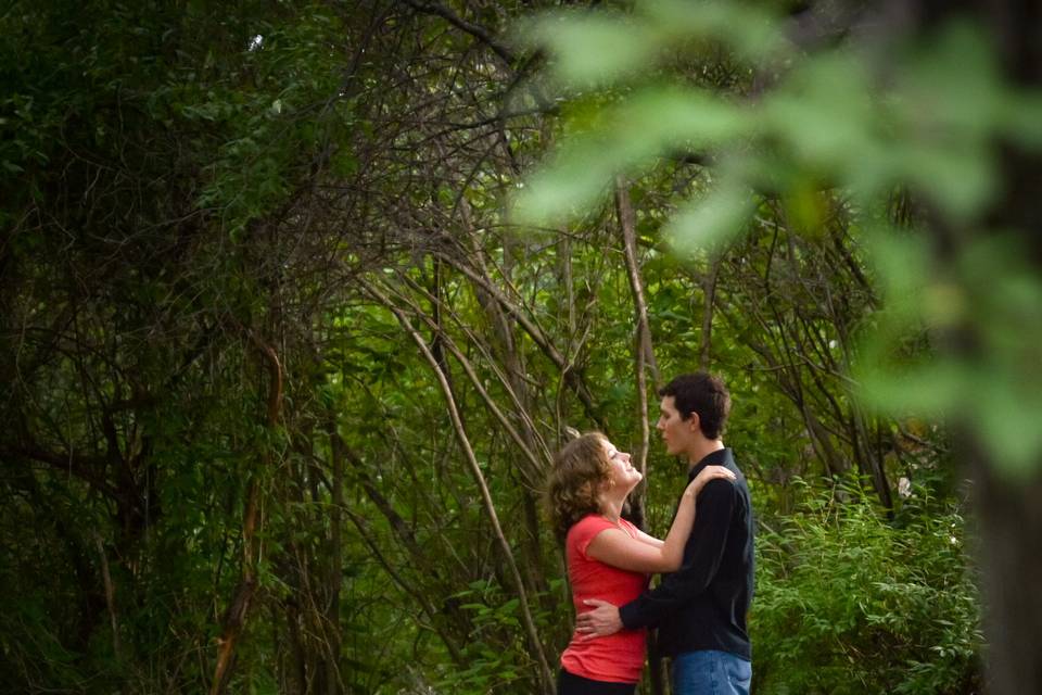 Kissing in the trees