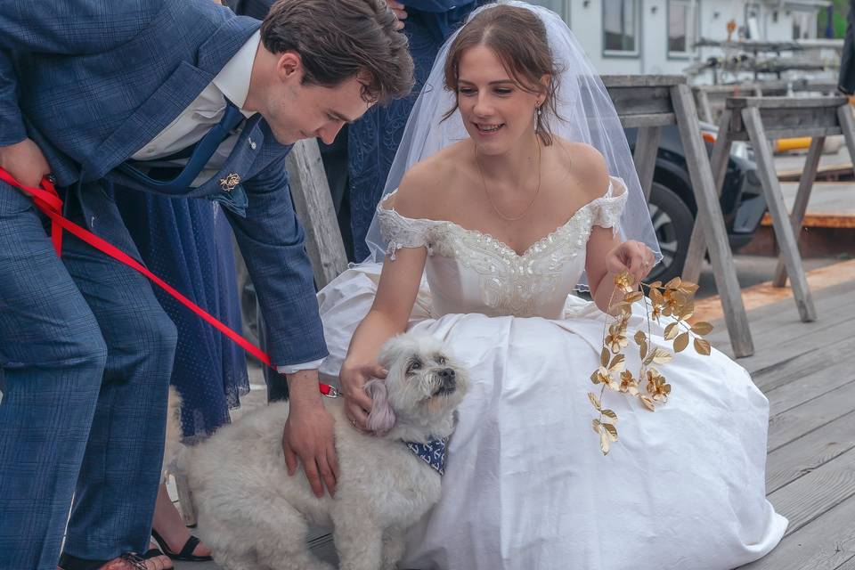 Love when pets are included