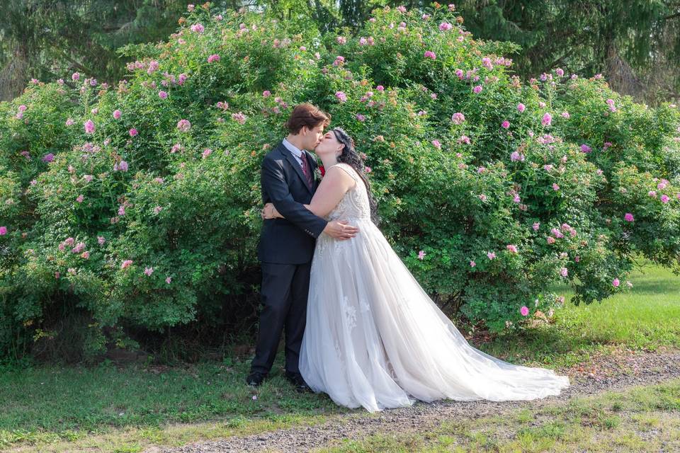 Bush Kisses