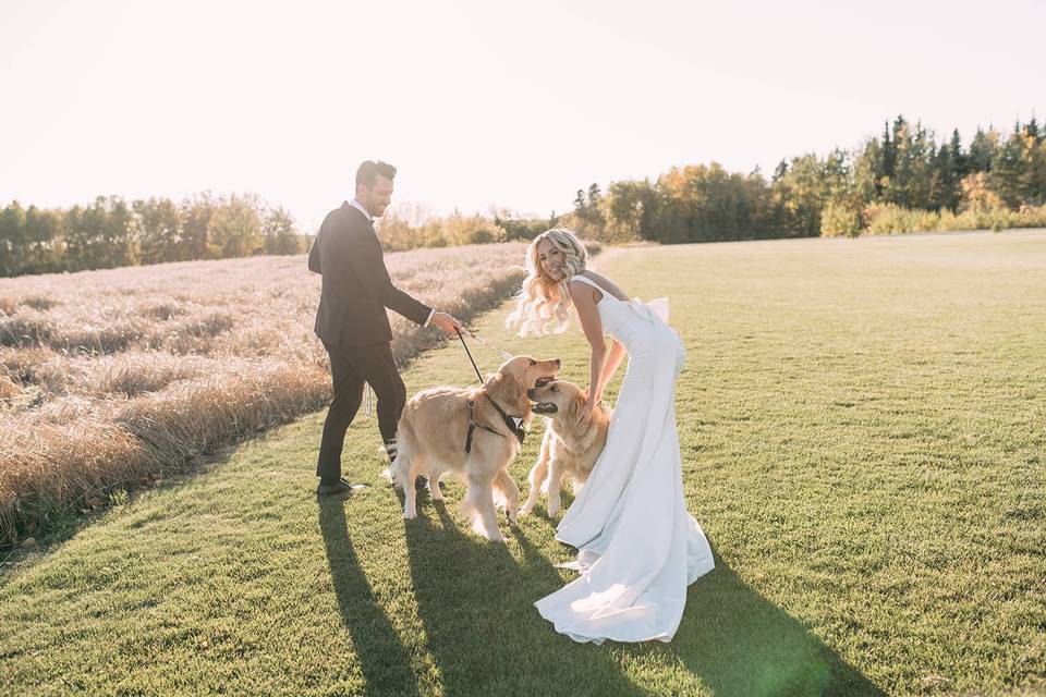 Couple with dogs