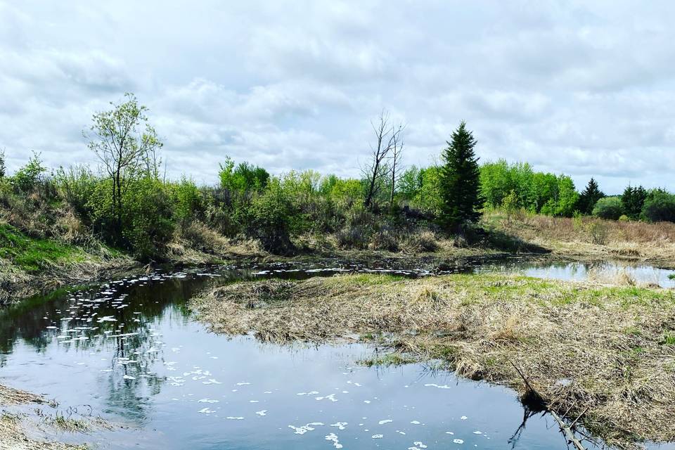 Pipestone Creek