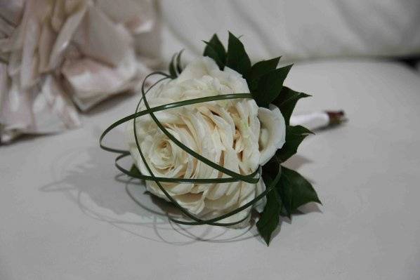 White rose glamelia