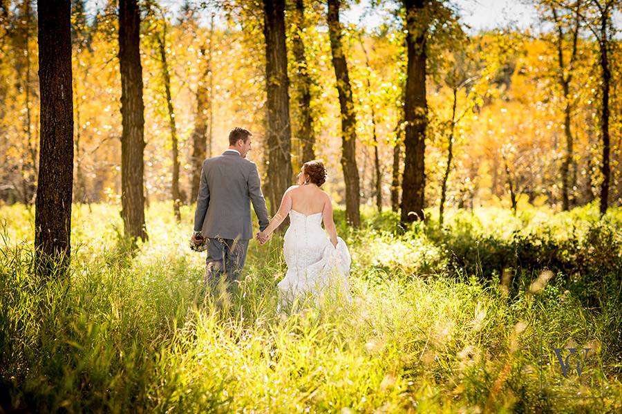 Meadow Muse Pavilion - Venue - Calgary - Weddingwire.ca