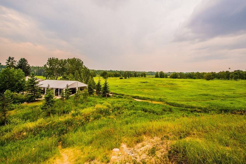 Meadow Muse Pavilion