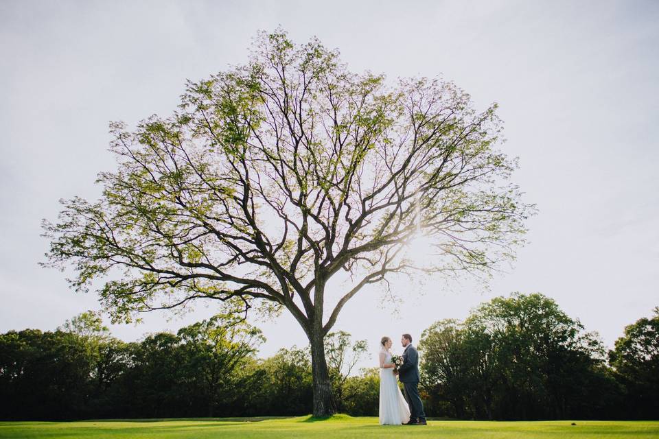 Outdoor Wedding