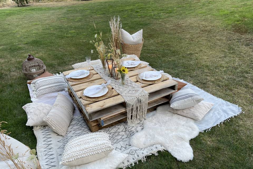 Picnic setup