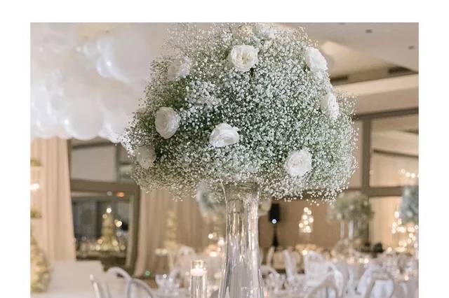 Babys breath2