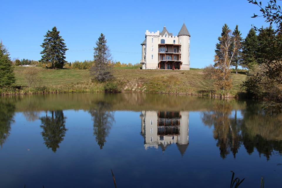 Chateau back yard pond