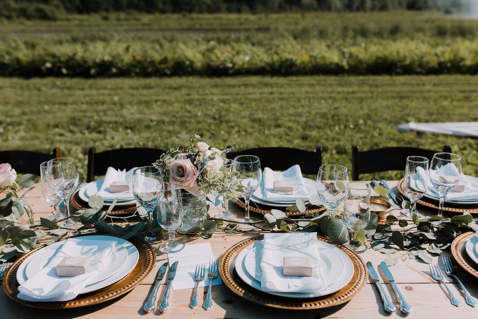 Dinner in the fields