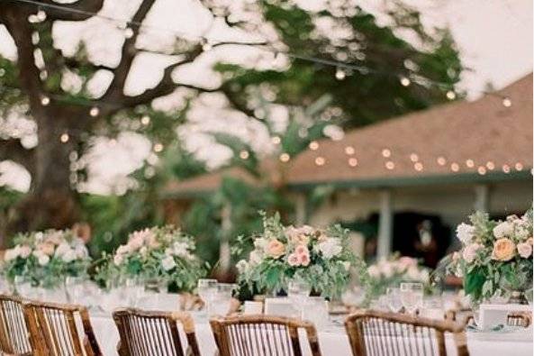 Bamboo folding with Cushions