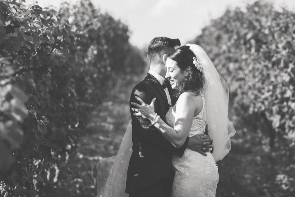 Vinyard Weddings