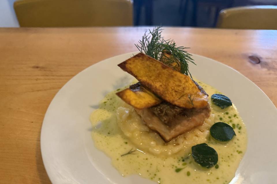 Halibut Starter