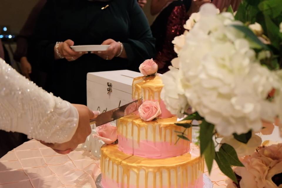 Cake Cutting