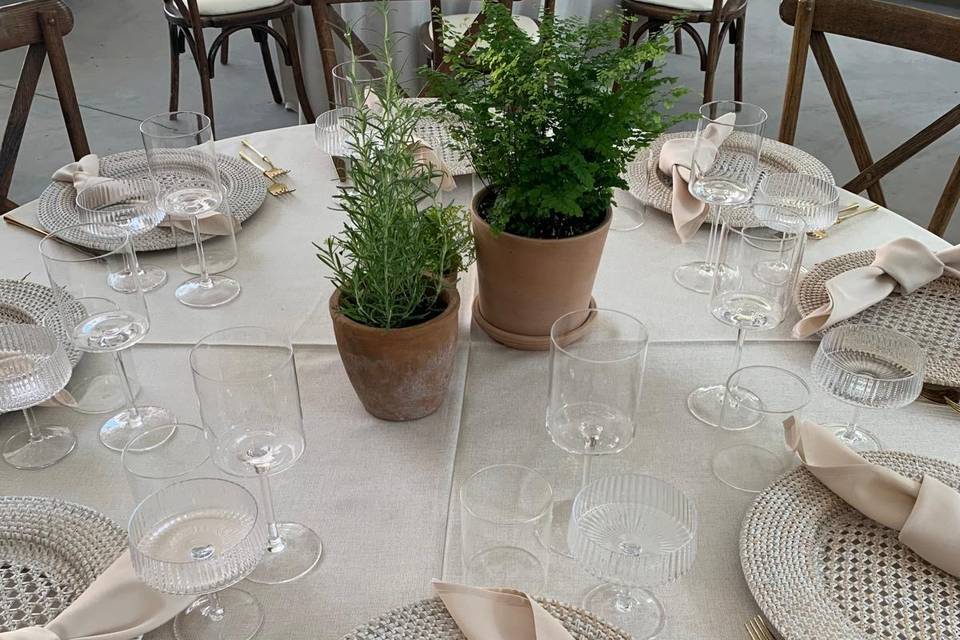 Engagement @ Alton Mills