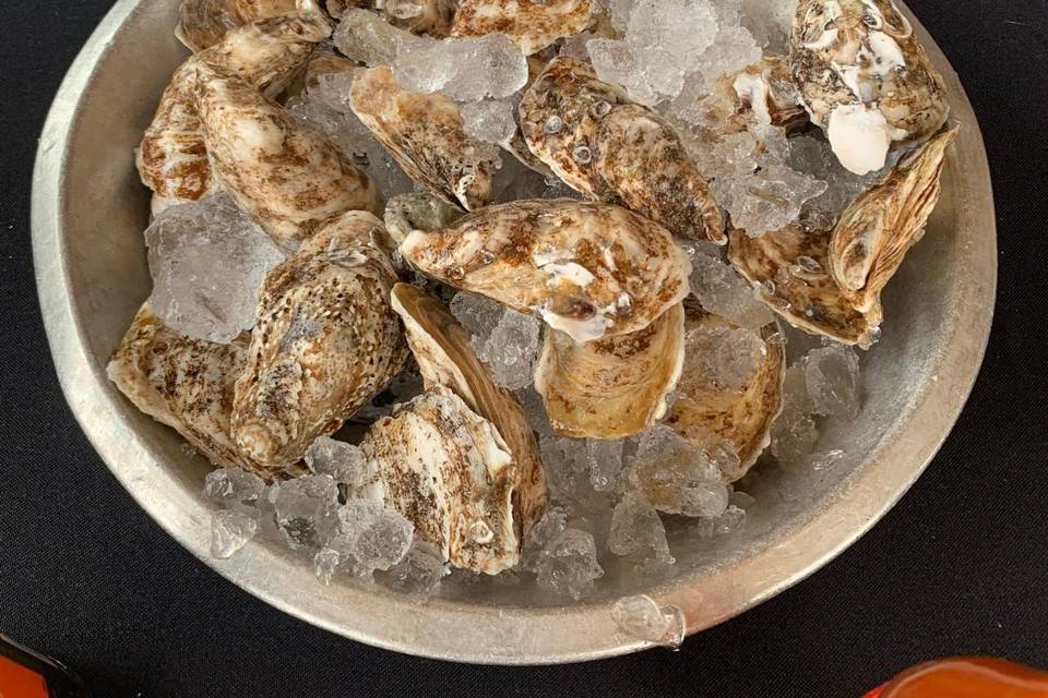 Oysters @ Private Wedding