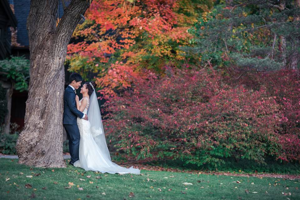 Fall Wedding