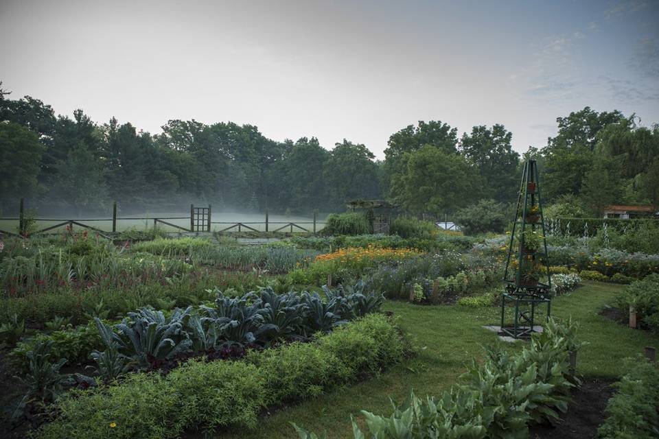 Garden Gate