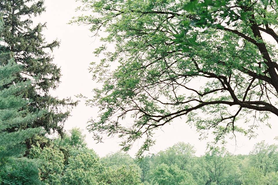 Orchard Lawn Ceremony