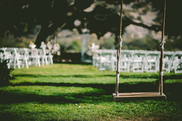 Lovely wedding ceremonies