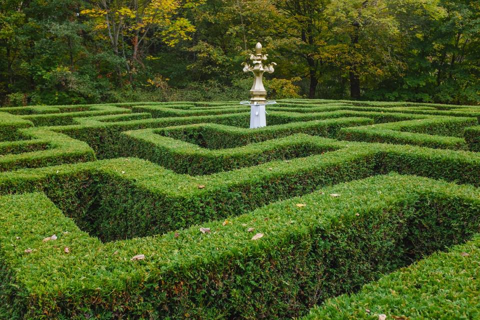 Cedar Hedge Maze