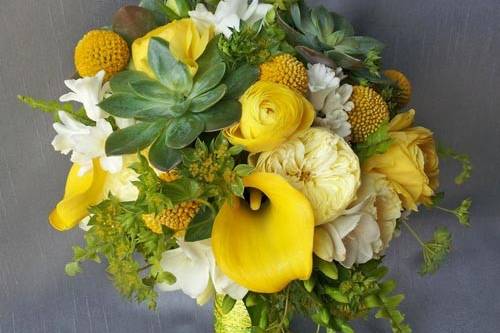 YELLOW WHITE RANUNCULAS CALLAS FREESIA SUCCULENTS BOUQUET 500.jpg